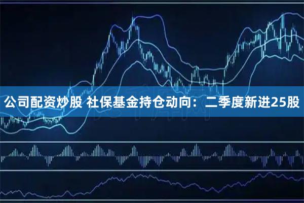 公司配资炒股 社保基金持仓动向：二季度新进25股