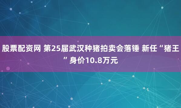 股票配资网 第25届武汉种猪拍卖会落锤 新任“猪王”身价10.8万元